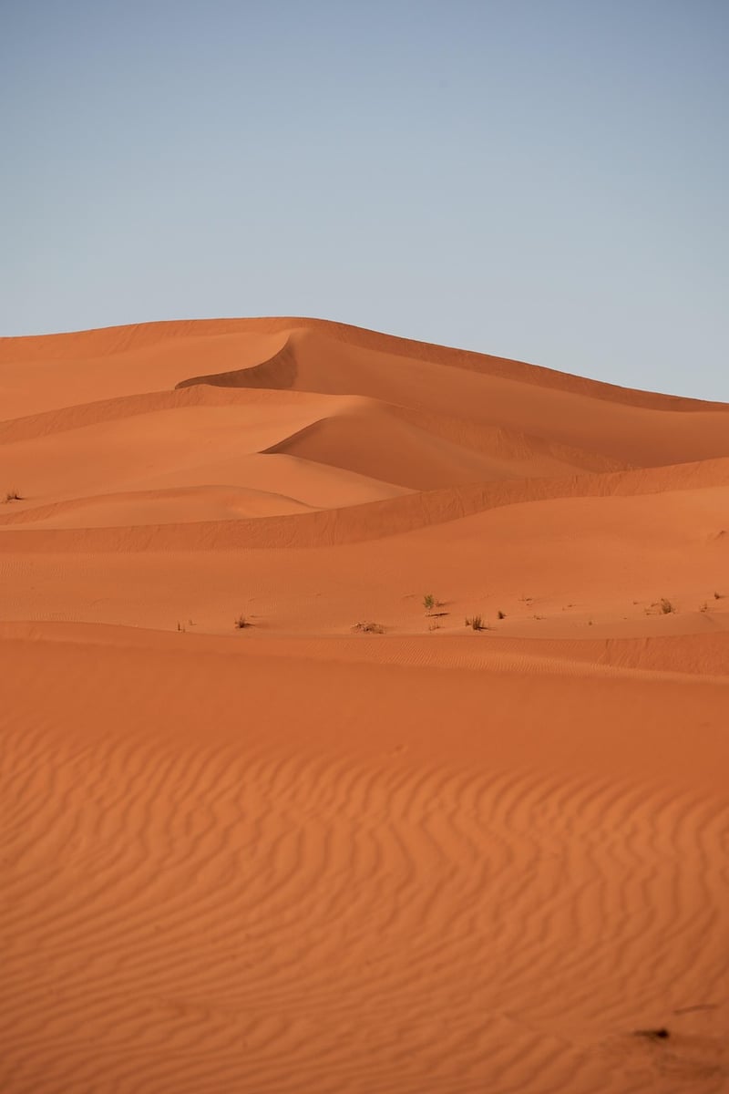 Dune by Frank Herbert